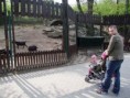 /album/v-zoo/dscf1912-jpg/