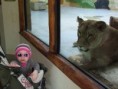 /album/v-zoo/dscf1922-jpg/